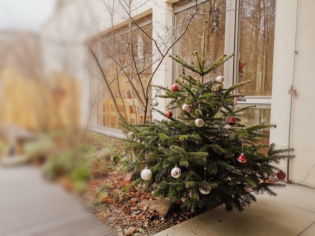 tannenbaum